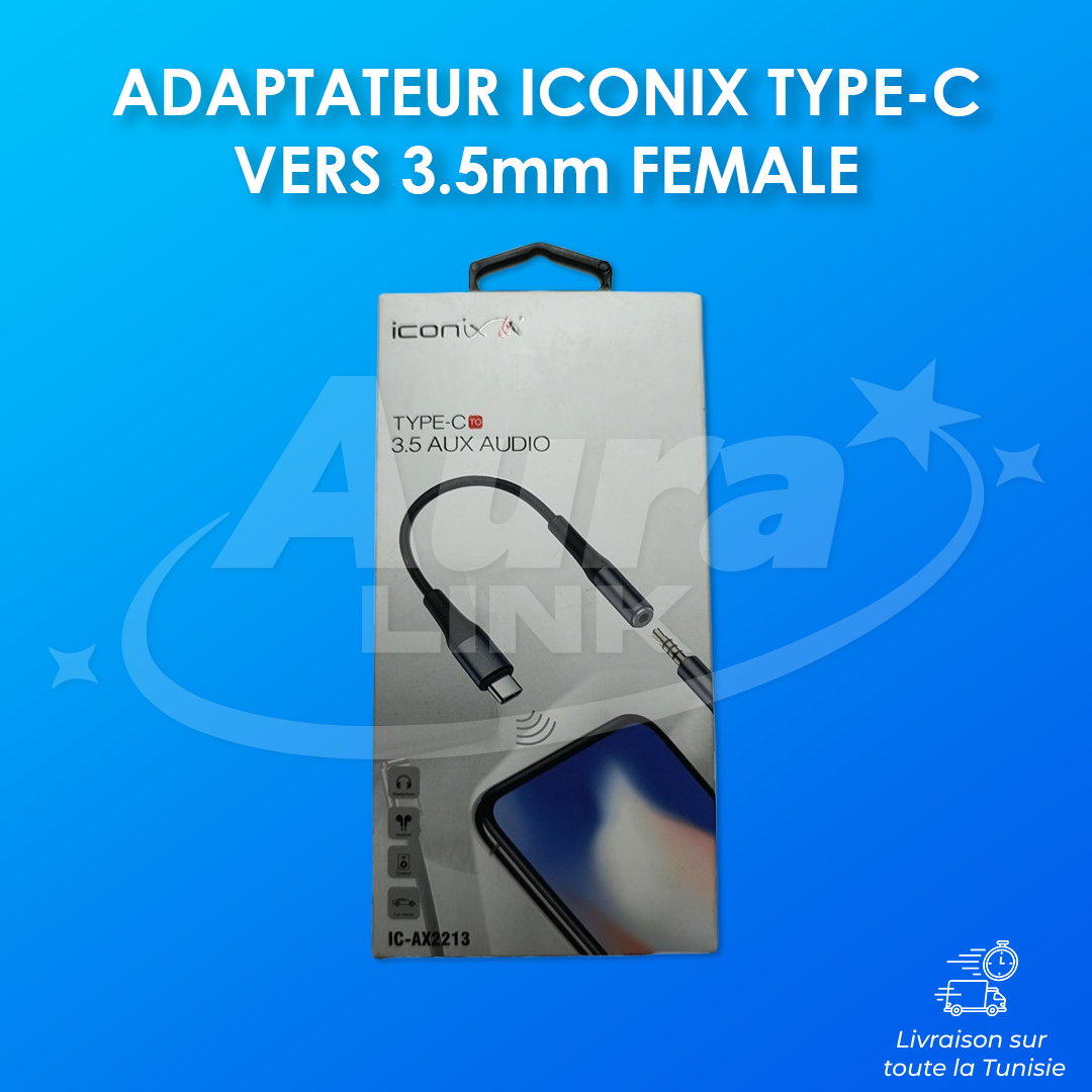 Adaptateur Iconix Type-C - IC-UC1042